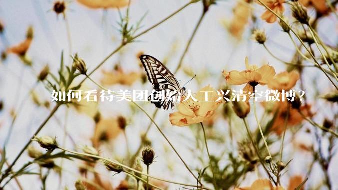 如何看待美团创始人王兴清空微博？