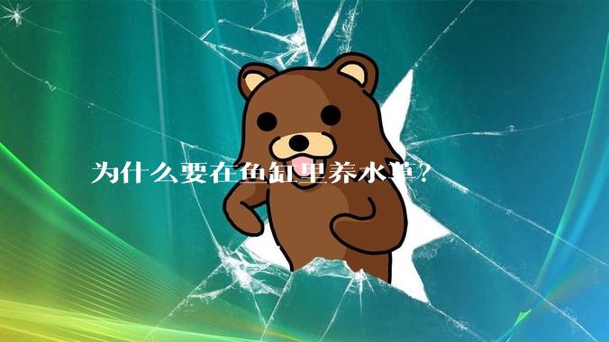 为什么要在鱼缸里养水草？