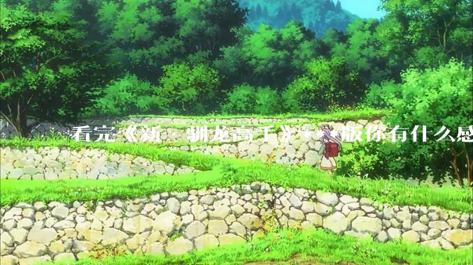 看完《新·驯龙高手》***版你有什么感受？